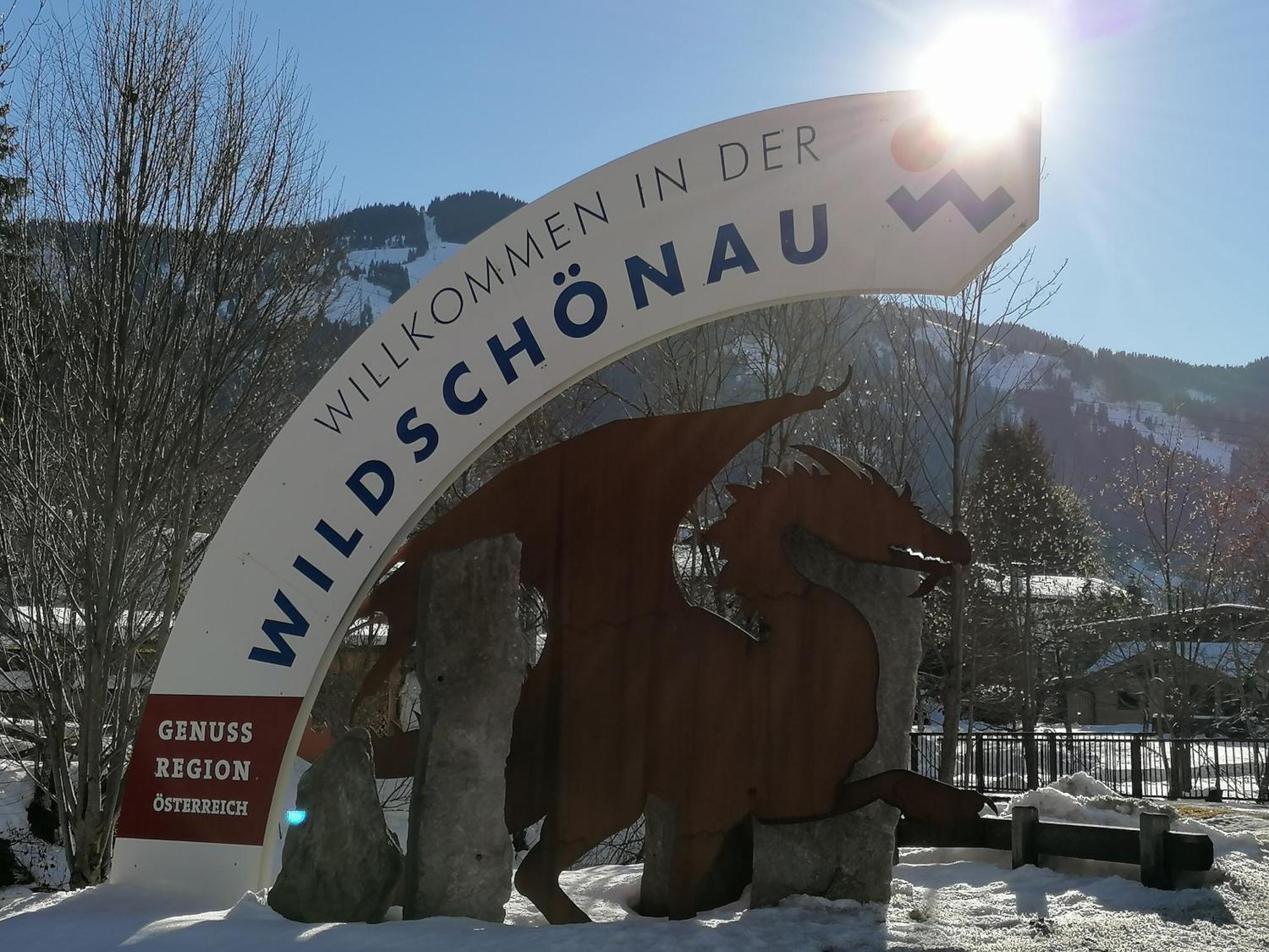 Gittis Ferienwohnung Panorama Wild31 Bernau  エクステリア 写真